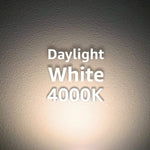 4" Ultra-Thin Dimmable LED Recessed Downlight, 4000K Daylight