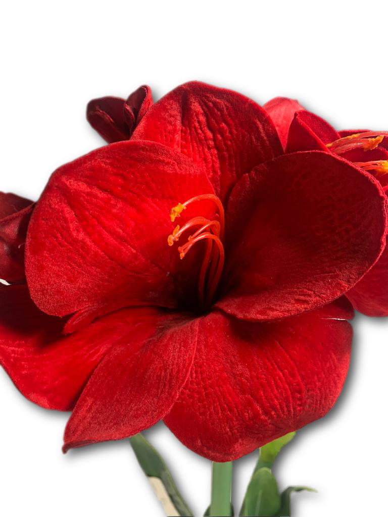 25" Decorative Full Bloom Velvet Amaryllis