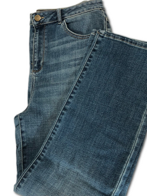 "As Is" LOGO by Lori Goldstein Girlfriend High Rise 5 Pocket Jeans