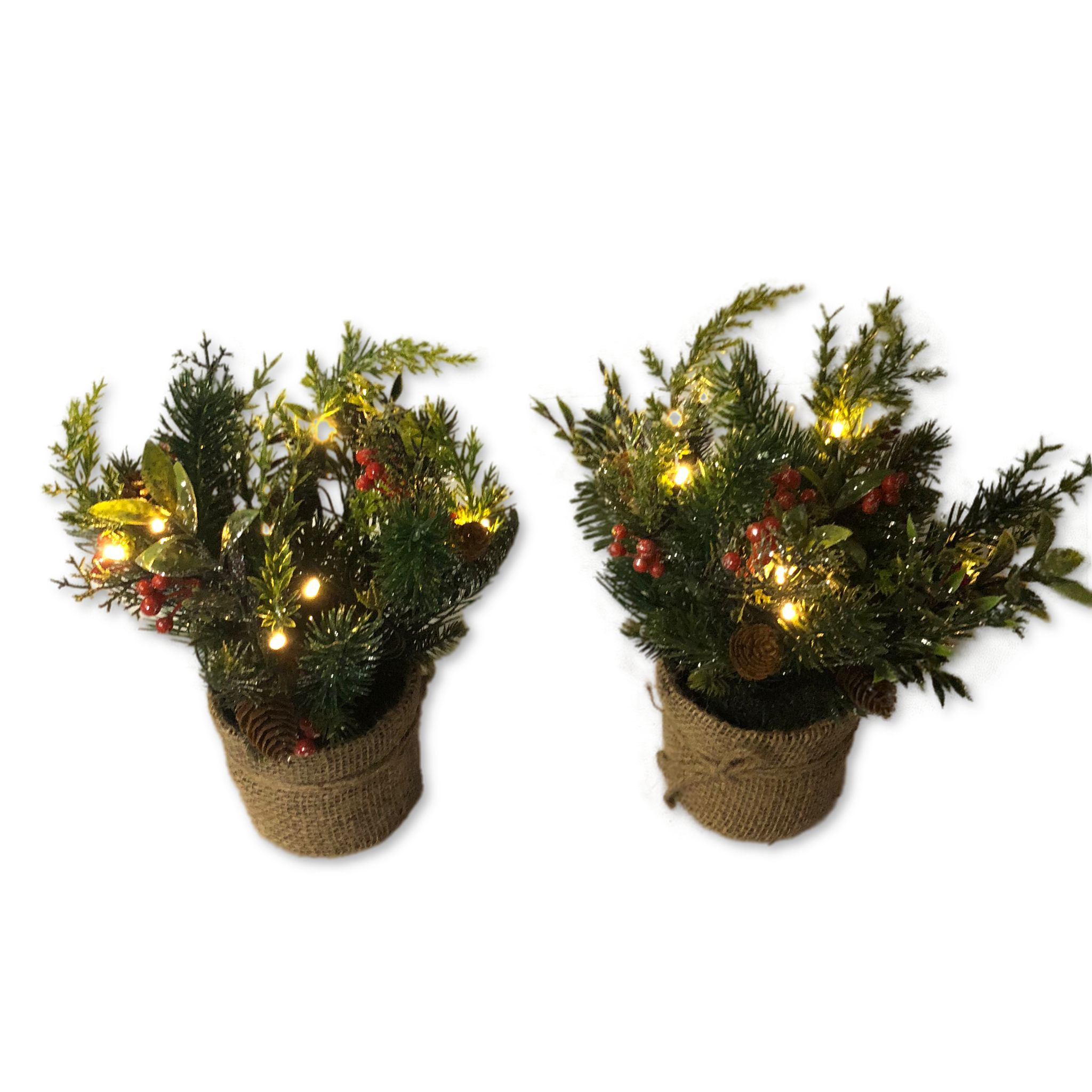 As is Set of 2 Mini Christmas Greens in Pots