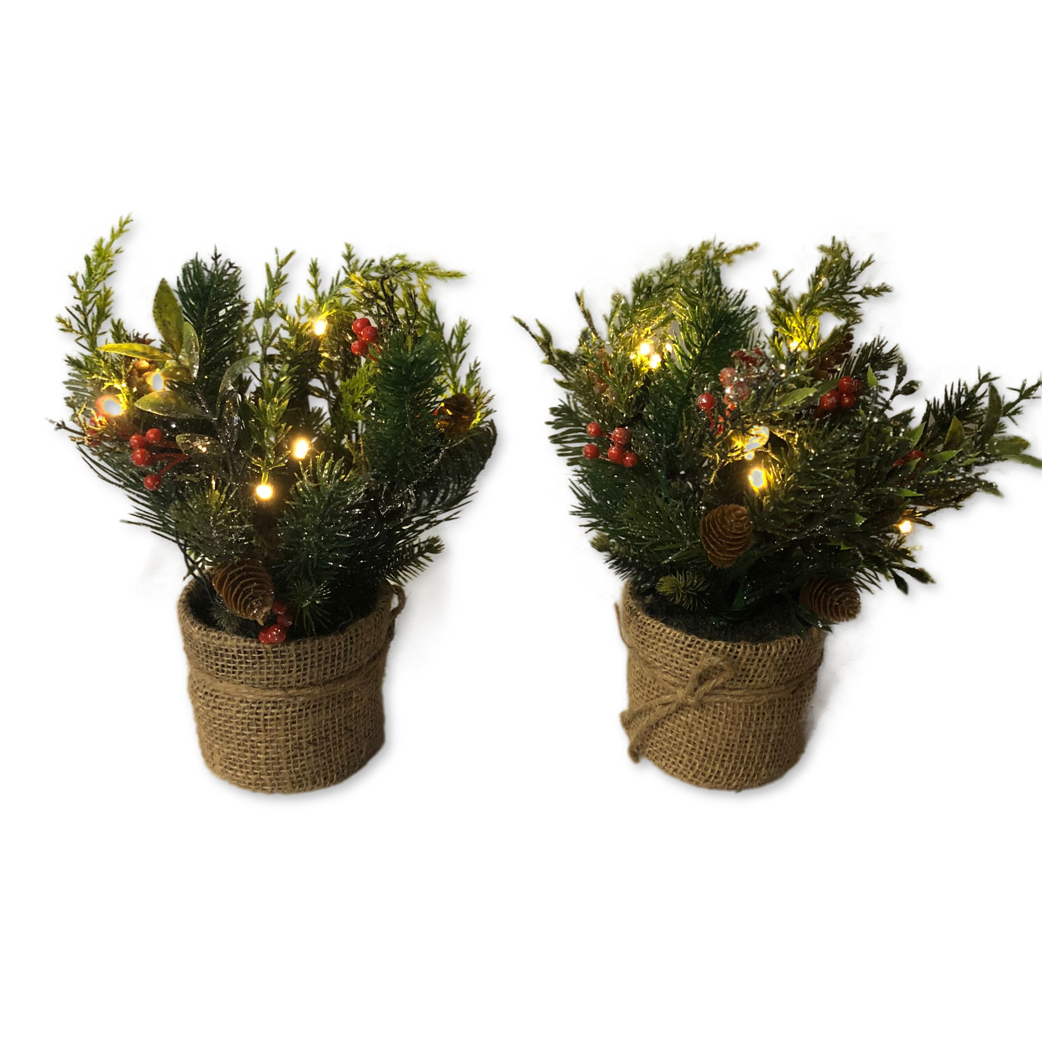 As is Set of 2 Mini Christmas Greens in Pots