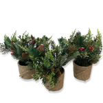 scott living set of 3 mini christmas greens in burlap pots