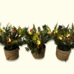 scott living set of 3 mini christmas greens in burlap pots