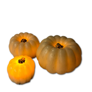 Set of 3  Pumpkin Battery Operated LED Fall Thanksgiving Lighted Decorations