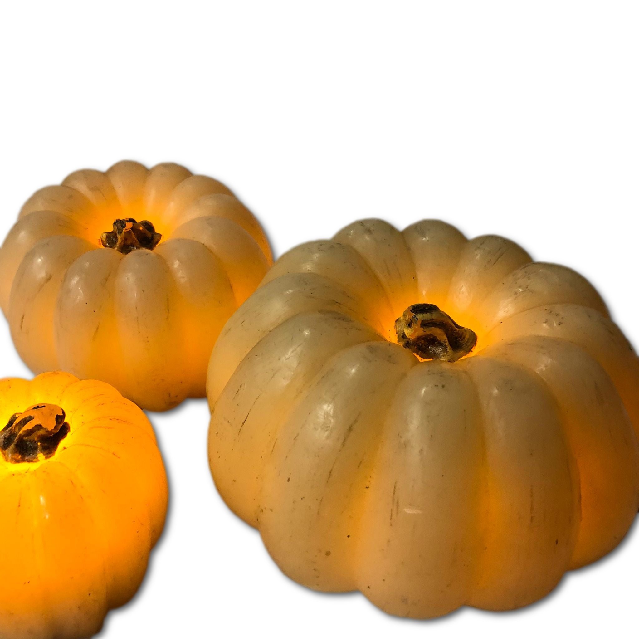 Set of 3  Pumpkin Battery Operated LED Fall Thanksgiving Lighted Decorations