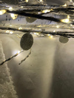 Mr. Christmas 5' Illuminated Plug-In Gem Tree