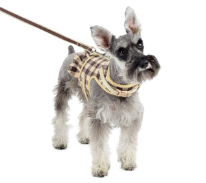 Martha Stewart Buffalo Check Dog Harness w/ Coordinating Leash