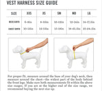 Martha Stewart Buffalo Check Dog Harness w/ Coordinating Leash